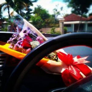 Lily_hby profile icon