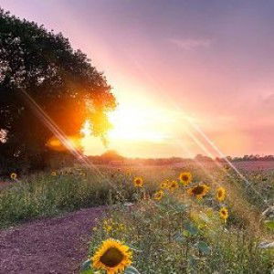 Natalia Polancos profile icon