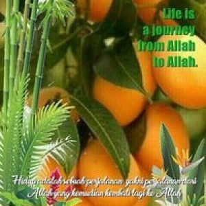 Nur Nur profile icon