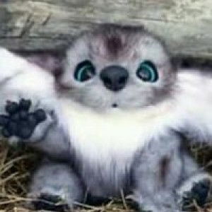 Bintu Haron profile icon