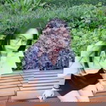 ชม ชม. profile icon