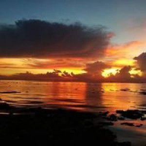 Princess Shane Subito Sillar profile icon