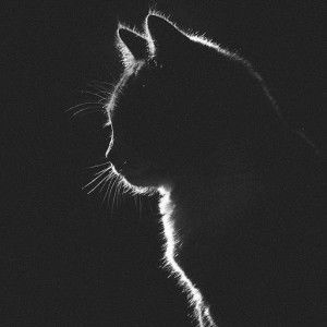 Dita Umairoh profile icon