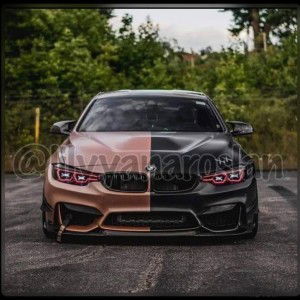 Lilyyana Roslan profile icon