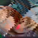 Cik Nana profile icon