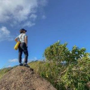 Dannah May Jimenez - Arca profile icon