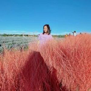 Supakkawi OK profile icon