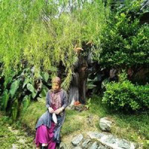 Dayang Suhana profile icon