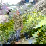 Uut Azza profile icon