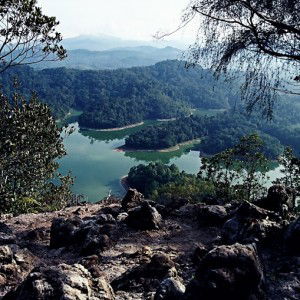 saidatina nur ain bt mohd salleh profile icon