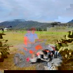 Nik Ain profile icon