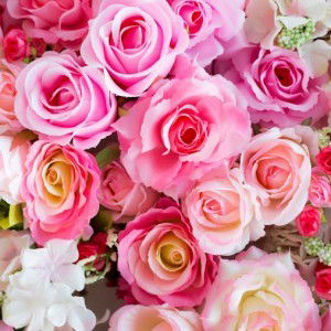 Ana Jarito profile icon