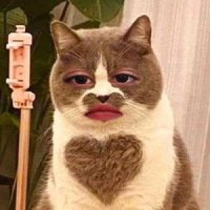 เมธาวี บัสกิน profile icon