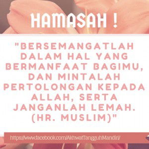 nur hikmah profile icon