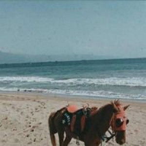 Mutie Aulia profile icon