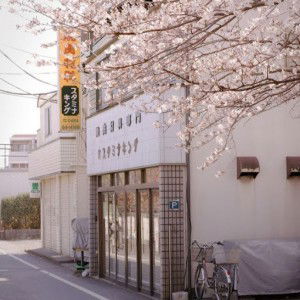 Lulu Mahana profile icon