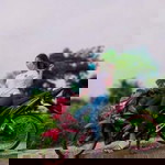 Bhaby Ah Ah profile icon