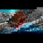 Ai Sinta profile icon