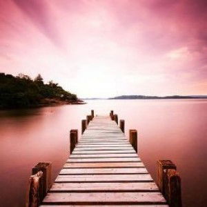 Aqeela Muhammad profile icon