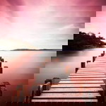 Aqeela Muhammad profile icon