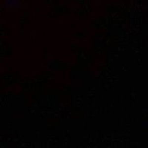 Suí Generis profile icon