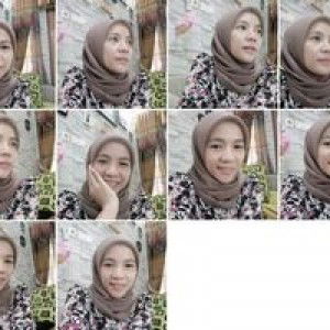 Dina Nurasikin profile icon