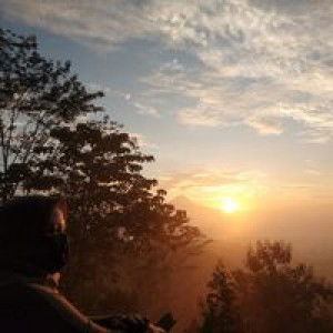 Nigi Prawitasari profile icon