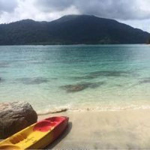 Ppt Pnana profile icon