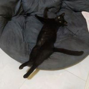 Eye Jung profile icon