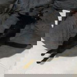 Eye Jung profile icon