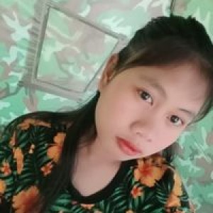 ทิพย์ เฉิ่ม profile icon