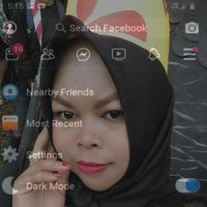 Lilis Nurholis profile icon