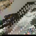 Hachi Skyler profile icon