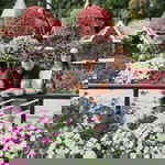 BabyRuth Domogma Maladaga profile icon