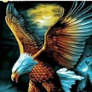 Sukarman Endah profile icon