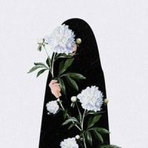 Liestary profile icon