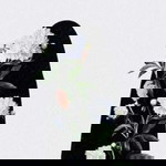 Liestary profile icon