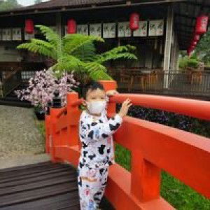 Ai Suryani profile icon