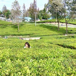 hanni angelia profile icon