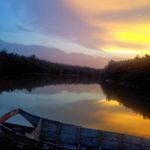 Coeyi Eima profile icon