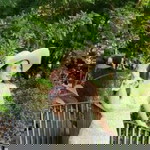 N'NungNing Pitchayaporn profile icon