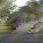 Aishah Madzly profile icon