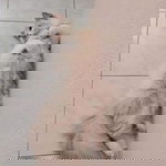 Cik Nurul profile icon