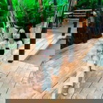 Nutjarin Tar profile icon