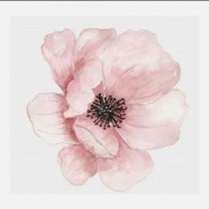 Widya Cucu Utami profile icon