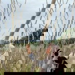 Risalatur Rodliyah15 profile icon