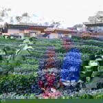 Pam Suchittra profile icon