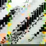 Orrapan Mokhom profile icon