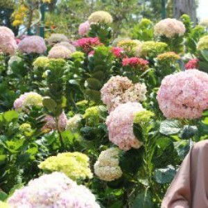 Thia Razimona profile icon