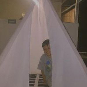 Lia Sartika profile icon